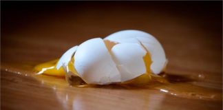 Egg Crack, Emergency Number, London News, Ajab gajb