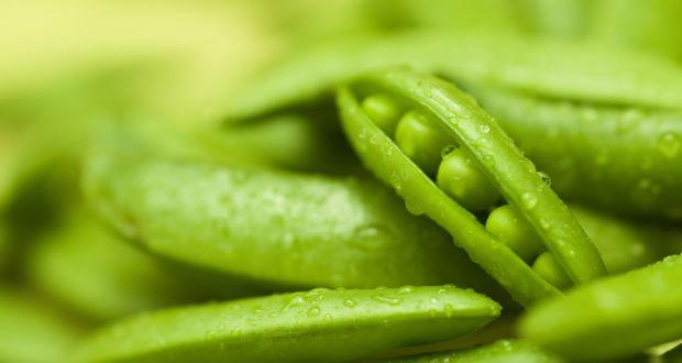 health-benefits-of-green-peas, Green Peas, Health News, Khabrein 24