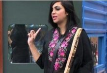 Big Boss 11, Arshi Khan, Salman Khan, Saleem Khan, Tv News, Khabrein 24