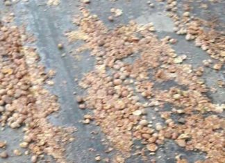 Farmers protest in Lucknow, Vidhansabha, ANgry Farmers, CM Yogi, Potato In COld Storage