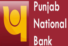 PNB, Punjab National Bank, Fraud, Fake Transaction