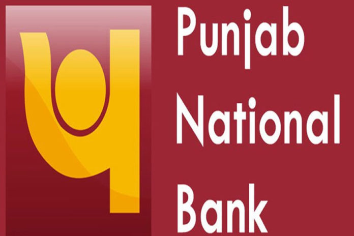 PNB, Punjab National Bank, Fraud, Fake Transaction