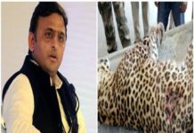 Akhilesh Yadav, Yogi Government, Leopard Death, UP Police, Congress, Encounter