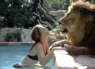 Hollywood Actress,Melanie Griffith,Lion Pet,Photos