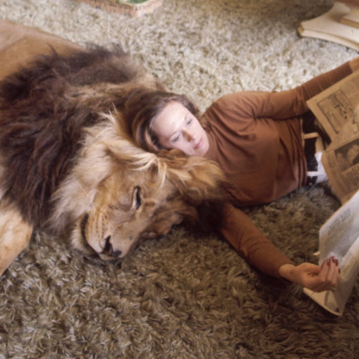 Hollywood Actress,Melanie Griffith,Lion Pet,Photos