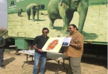 chahal-tour-to-elephant-life-center