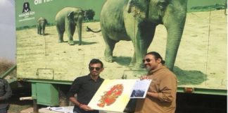 chahal-tour-to-elephant-life-center