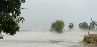 Hailstorm, Crop, Farmer, Bihar,Vaishali, Samastipur