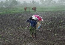 Rain, Skymet Weather, Farmer, Good News, Drought