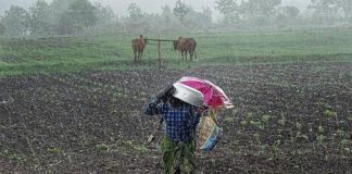 Rain, Skymet Weather, Farmer, Good News, Drought