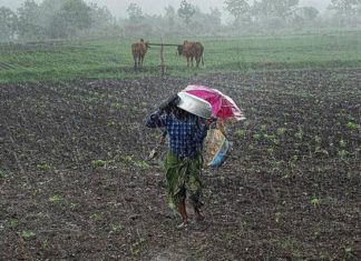 Rain, Skymet Weather, Farmer, Good News, Drought