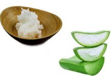 Alovera, Coconut Oil, Beauty Tips, Lifestyle News