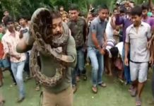 Python, Sanjay Dutta, Selfie, Video Viral