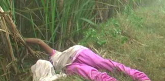 Shahjahanpur, farm, teenager, dead body, sensation, police