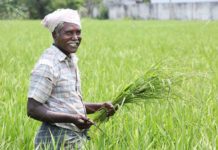 farmers, MSP, Narendra Modi