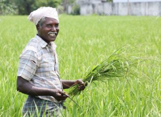 farmers, MSP, Narendra Modi