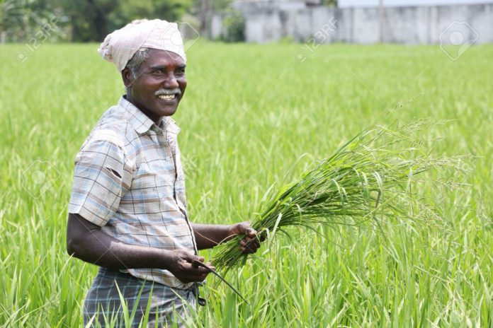 farmers, MSP, Narendra Modi