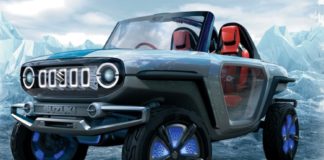Auto Expo, Maruti Electric Compact SUV, E Survivor