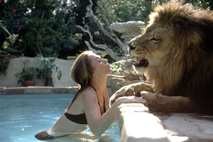 Hollywood Actress,Melanie Griffith,Lion Pet,Photos