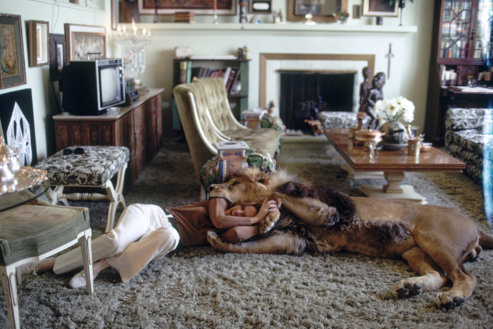 Hollywood Actress,Melanie Griffith,Lion Pet,Photos