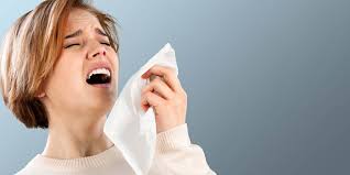 Sinusitis, Sneeze, Health News