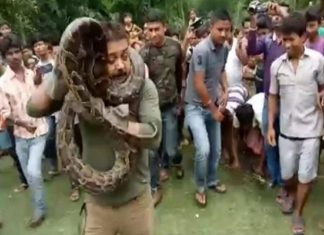 Python, Sanjay Dutta, Selfie, Video Viral