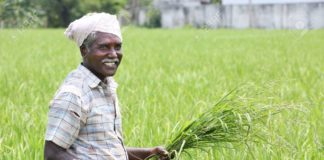 farmers, MSP, Narendra Modi